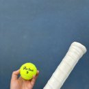 조치원체육공원 테니스장 이미지