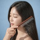 비듬제거빗 찾다가 정착한 비듬 클리너 참빗 솔직 후기