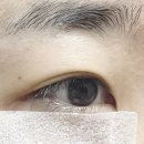 송팩 이미지