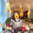 레스테호텔 이미지