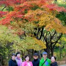 동지크린 이미지