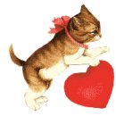 LOVELY CAT 이미지