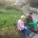 달동네예술가