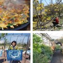 지리산나들락마을 이미지