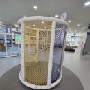 경기도 수원시 권선구 경수대로 373 (권선동) | 아이들이랑 어디 가지? 애들은 키카죠 수원 권선동 키즈카페 챔피언 NC백화점 수원터미널점