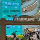 수원목장 | 수원 스타필드 안성팜랜드 팝업🐄 아이랑 가기 좋은 무료 체험존 후기