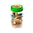 낙타와돌고래 이미지