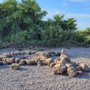 월정 산도롱펜션 이미지