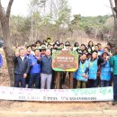 희망나무심기2 이미지