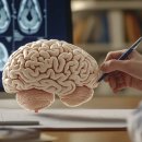 이화병원 이미지