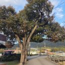 원색명화마을 이미지