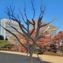 (주)미성 이미지