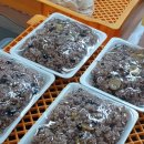 행당로 | 왕십리떡집 정착 행당동 낙원떡집 털어온 후기