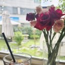 연로스터리