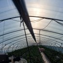 조광농장 이미지