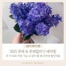 모먼츠 이미지