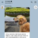 조이네집 이미지