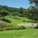 금호행정사 이미지