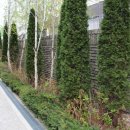 관광호텔 뮤제오 이미지