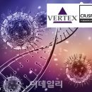 글로진 이미지