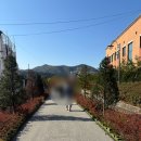 [춘천 애견동반 가볼만한곳] 돈이 전혀 아깝지 않았던 &#34;김유정 레일바이크&#34; 솔직후기 및 할인 꿀팁