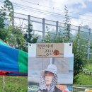구립꿈여울어린이집 - 광산구 | 구립꿈여울어린이집