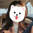 이브런치 이미지