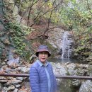 10월24일(토) 계룡산 국립공원 명품숲 갑사마루와 갑사 #2 이미지