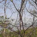 오찬농장 이미지