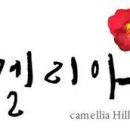 버들의봄