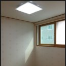 소림사유치원 이미지