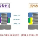 카젠오정점 이미지