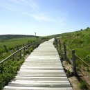 제주공항렌트카 이미지