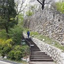 원조닭한마리 이미지