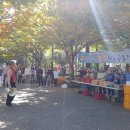 부산시청 이미지