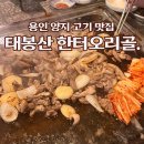한터 | 용인 양지 오리구이 찐맛집 태봉산 한터오리골 후기