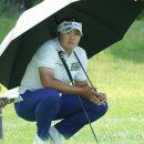 제주다올투어 이미지