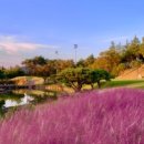 오창에딘버러 CC(대중제) 이미지