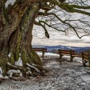 김천대학교 생활관(남, 여) 이미지