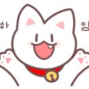 덕양은혜곱창 이미지