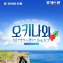 [일본] 대한항공 오키나와 기획전
