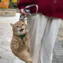 동천면옥 이미지