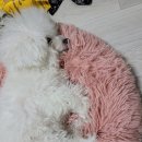 더아낌 이미지