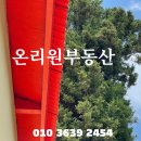 제주도성산공인중개사사무소 이미지