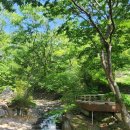 (주) 승병 | 여수 사찰 여행지 코스 갈만한곳 | 영취산 흥국사 | 전남 가볼만한곳