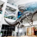 미호박물관 이미지