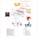 이문56 | 부산이명, 약 먹어도 안 낫던 분들이 선택한 방법 [한의원, 후기, 추천, 치료, 비용]