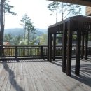 용평포레스트