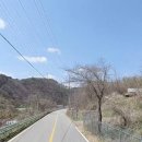 강원도 화천군 화천읍.307.6평 매가9천만원 이미지