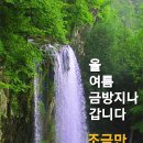 남편의 하얀 거짓말 이미지